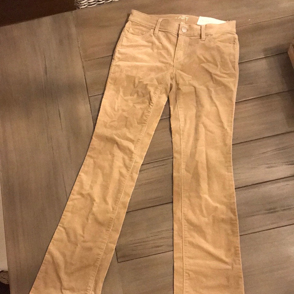 NWT Loft pants